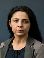 Didem Ozevin